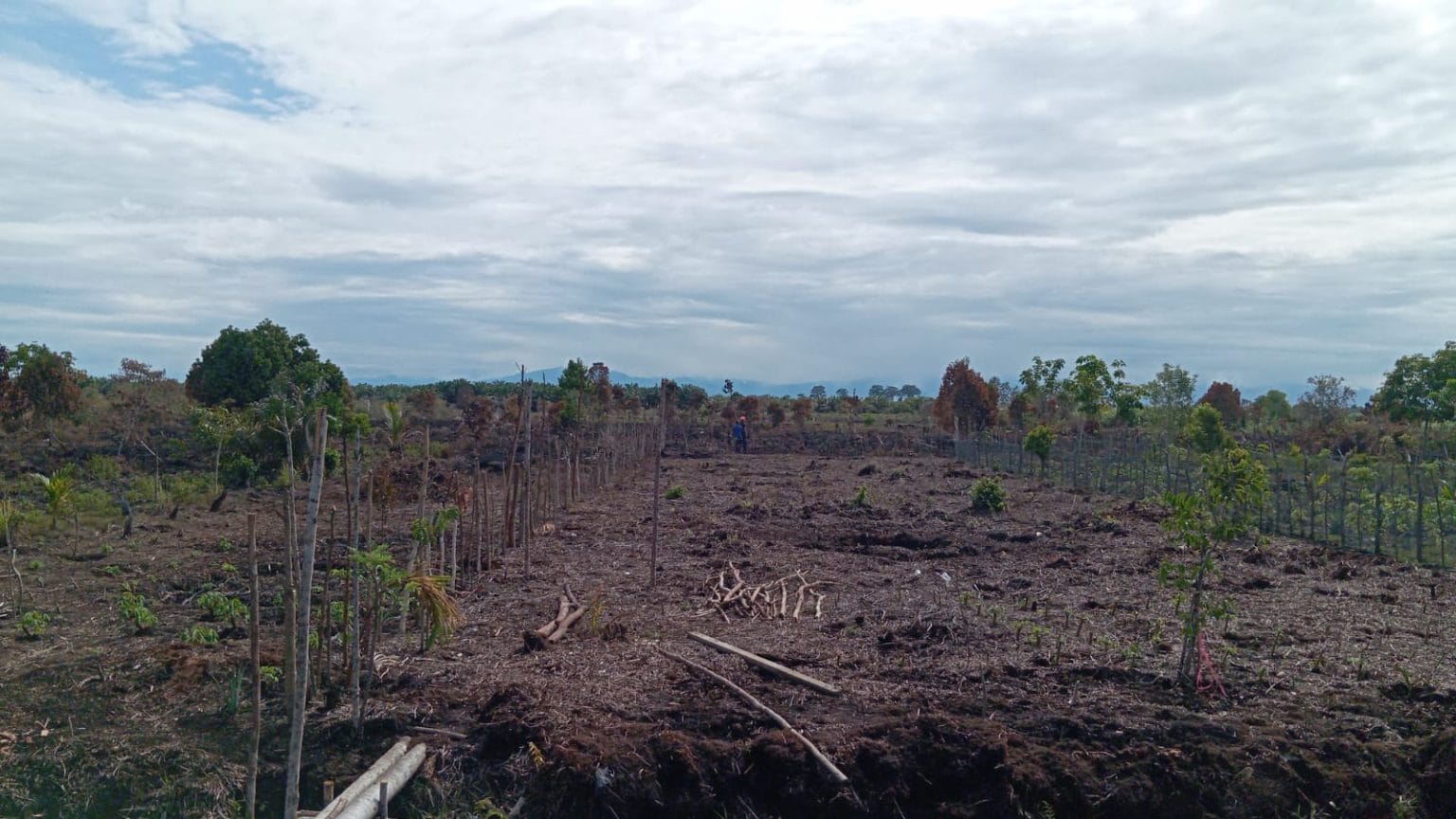 BPBD Aceh Barat Berhasil Padamkan Karhutla di Gampong Lapang, Petugas Masih Siaga Api Susulan