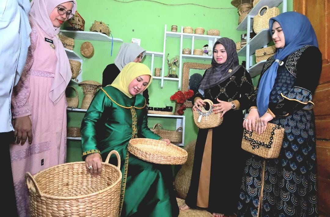 Peluang Tembus Pasar Internasional, Marlina Usman Kunjungi Kerajinan Eceng Gondok Aceh Barat